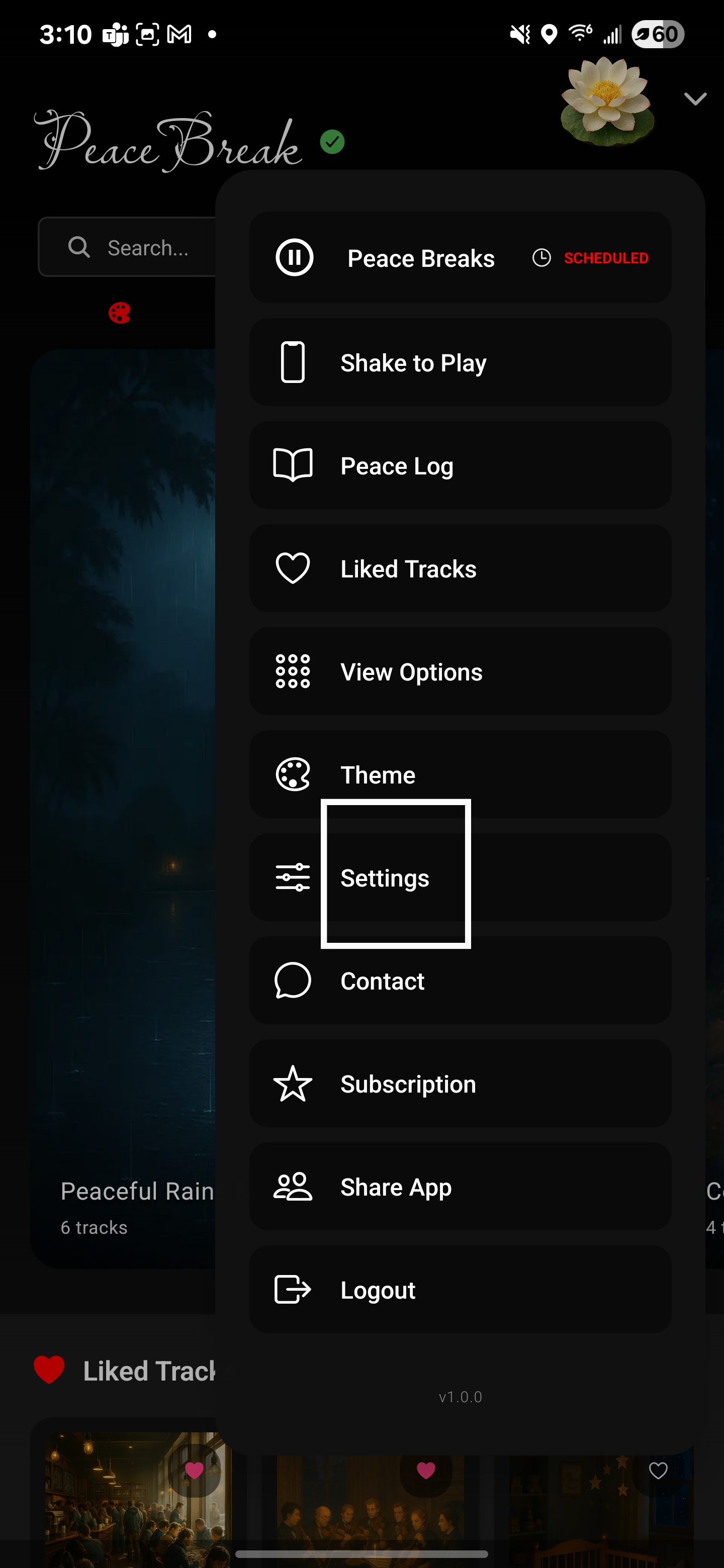 Step 1: Open Settings in PeaceBreak
